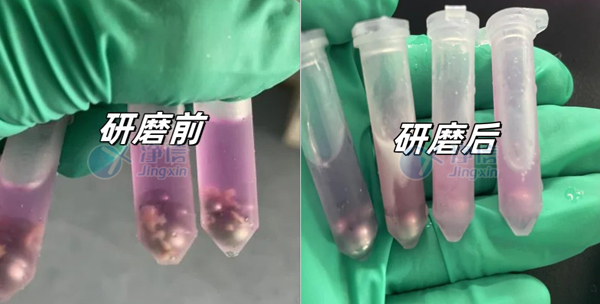 4-30- 实验案例底图.jpg